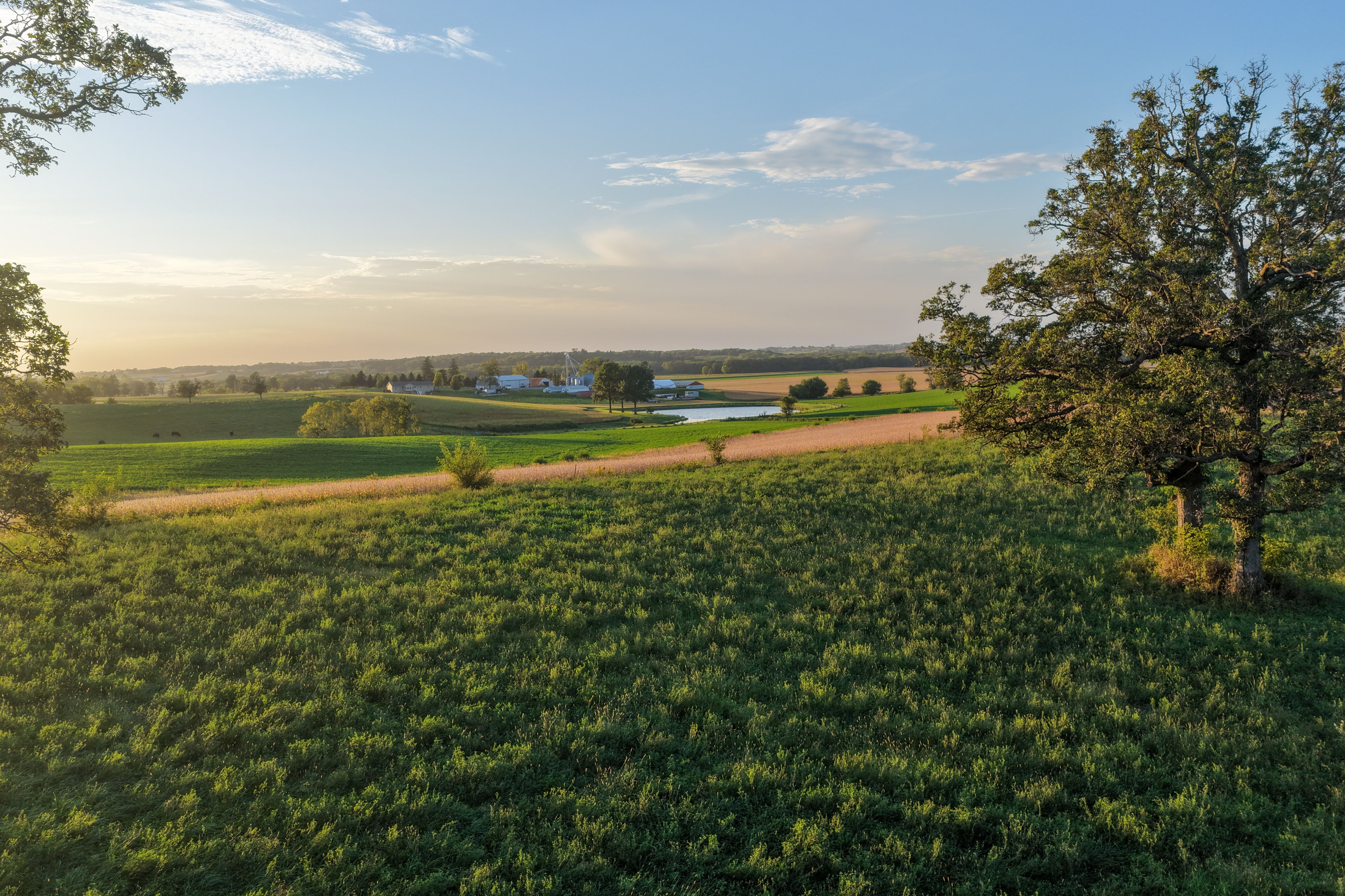 Listing Photo: Johnson County 4 Acre Building Site